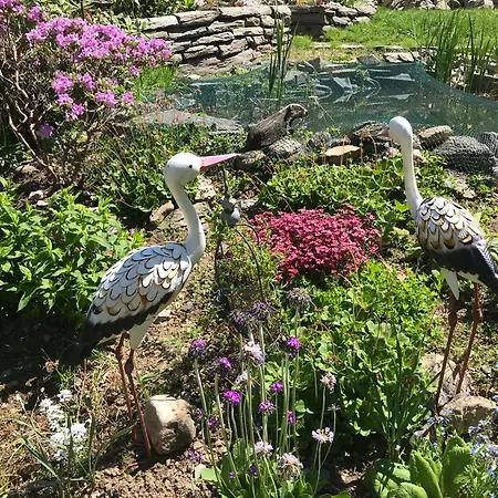 Waldpension-mazur Apartment *